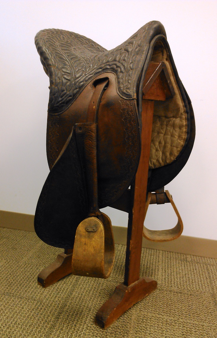 Davis saddle