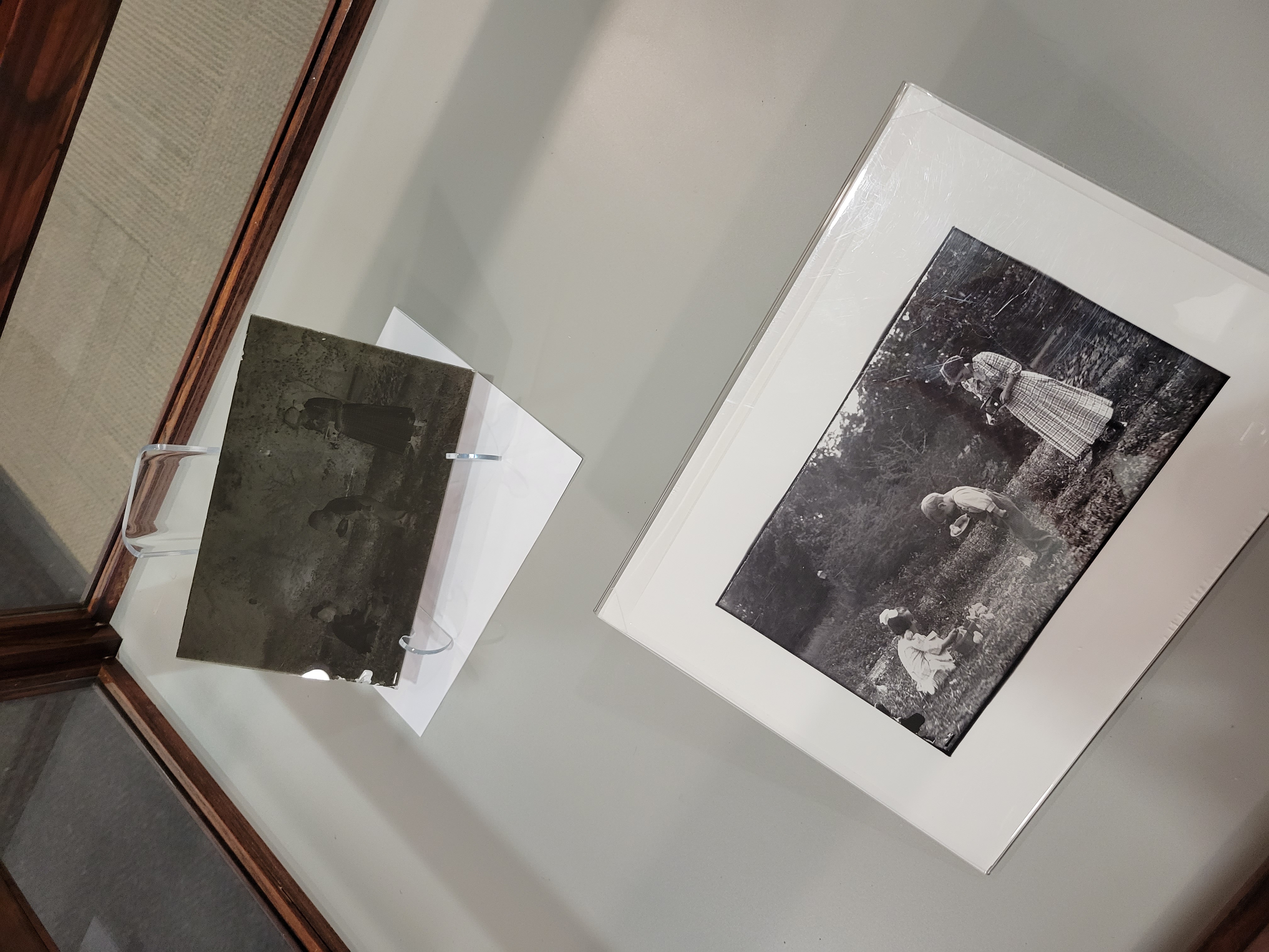 Image of a glass plate negative and a print photograph made from it