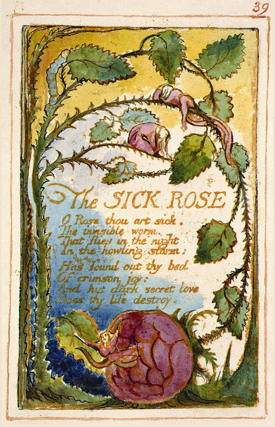 "The Sick Rose," a poem from Songs of Innocence and Experience by William Blake.