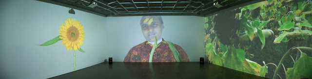 "Fountainhead Loop," three-channel video projection, 2015