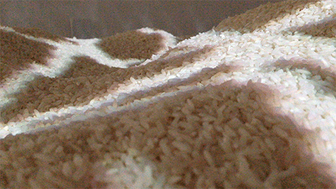 Projection mapping on rice (Click to see animated gif)