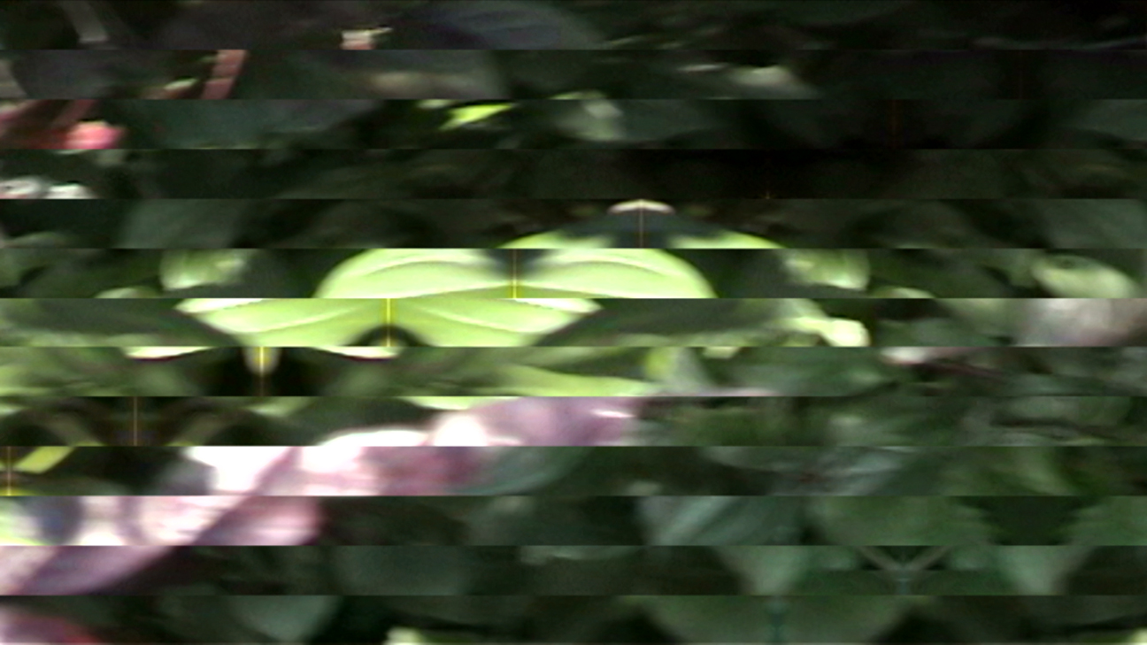 Still from processed video